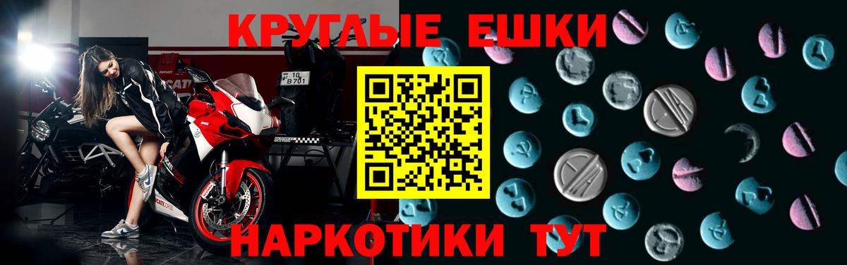 ЭКСТАЗИ бентли Гай