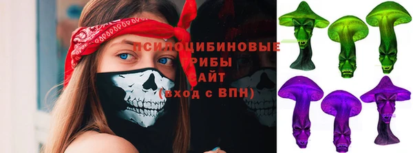 мяу мяу мука Бородино