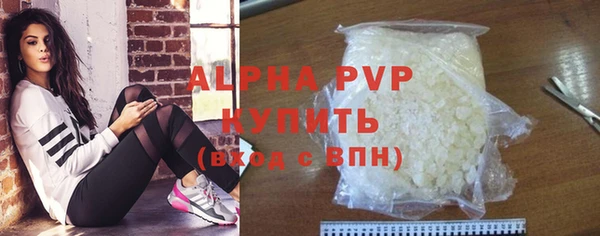 твердый Богданович