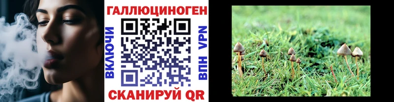 Псилоцибиновые грибы Cubensis  цена наркотик  Гай 