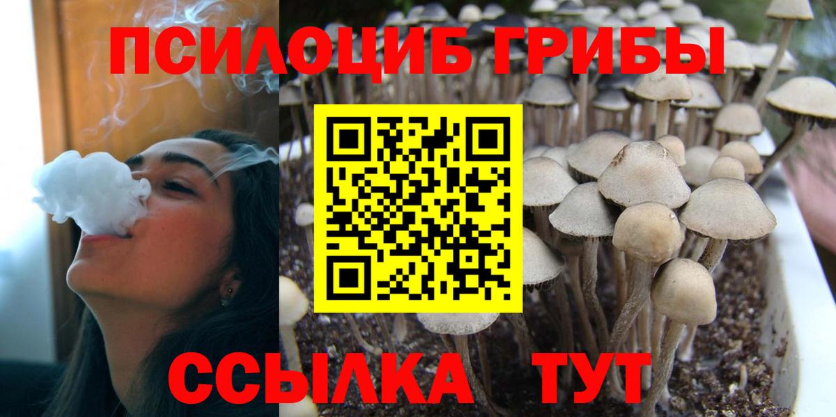 Гай  Псилоцибиновые грибы Magic Shrooms  Вход с VPN 
