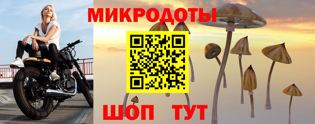 Галлюциногенные грибы Psilocybine cubensis Гай