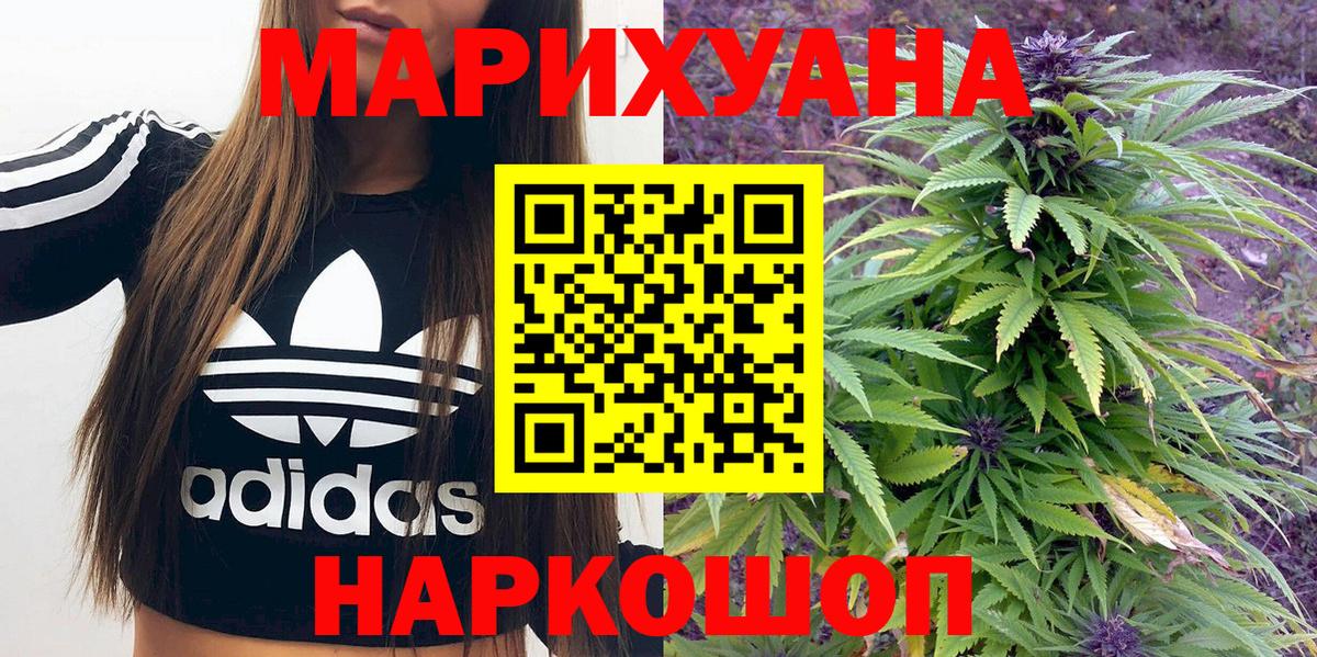 Канабис сатива Гай